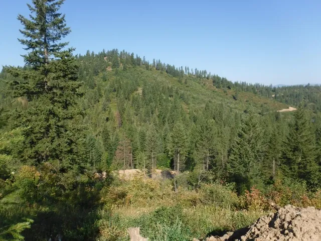 $329,000 | Lot 5 Moose Ridge Way, Loon Lake, WA 99148