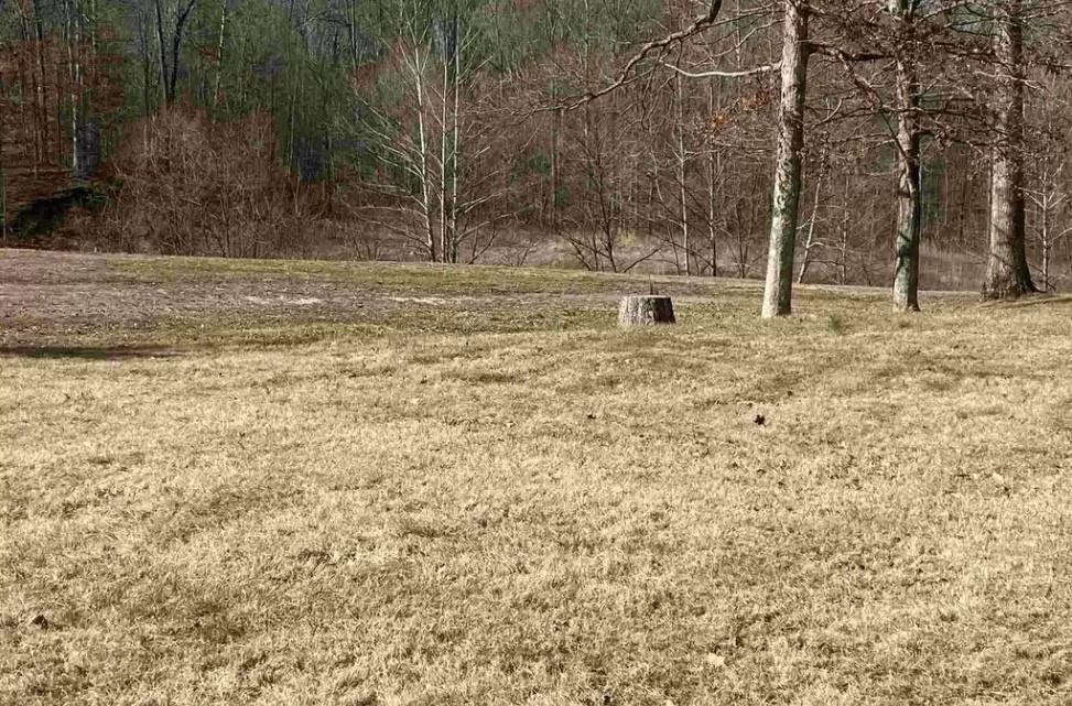 2151 East Mel Currie Road Bloomington, IN 47408 - Photo 2 of 2 Gallery Image 2