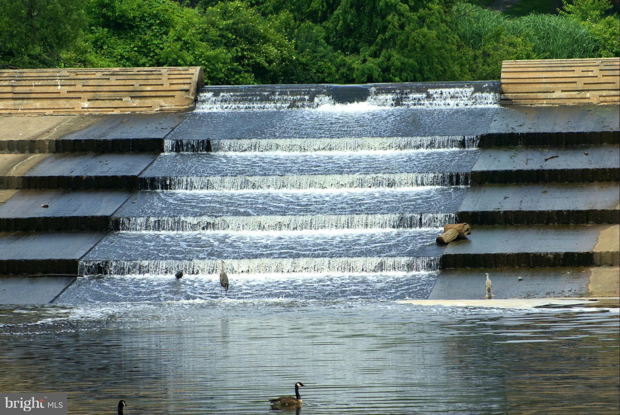 7527 Broken Staff Columbia, MD 21045 - Photo 28 of 30 Exterior (General)