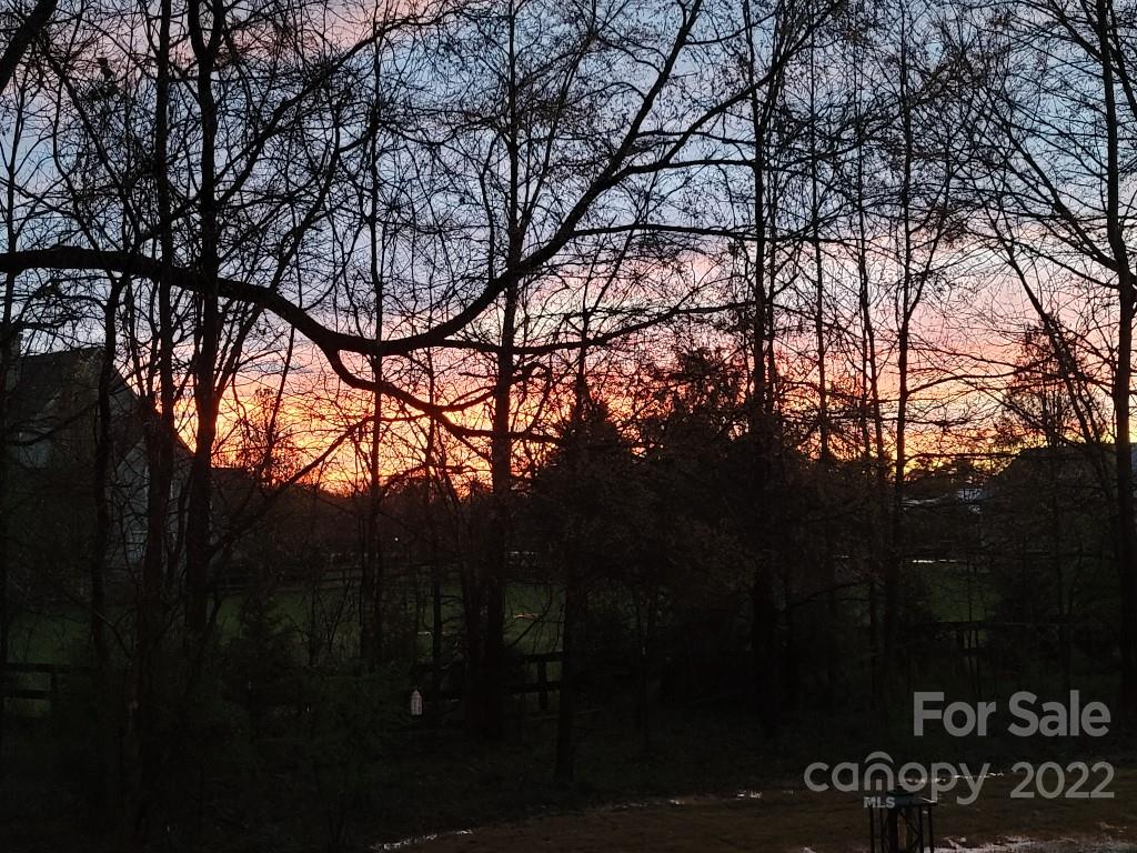 14100 Sunnyhill Grove Road Davidson, NC 28036 - Photo 18 of 18 a backyard of a house with lots of green space and garden