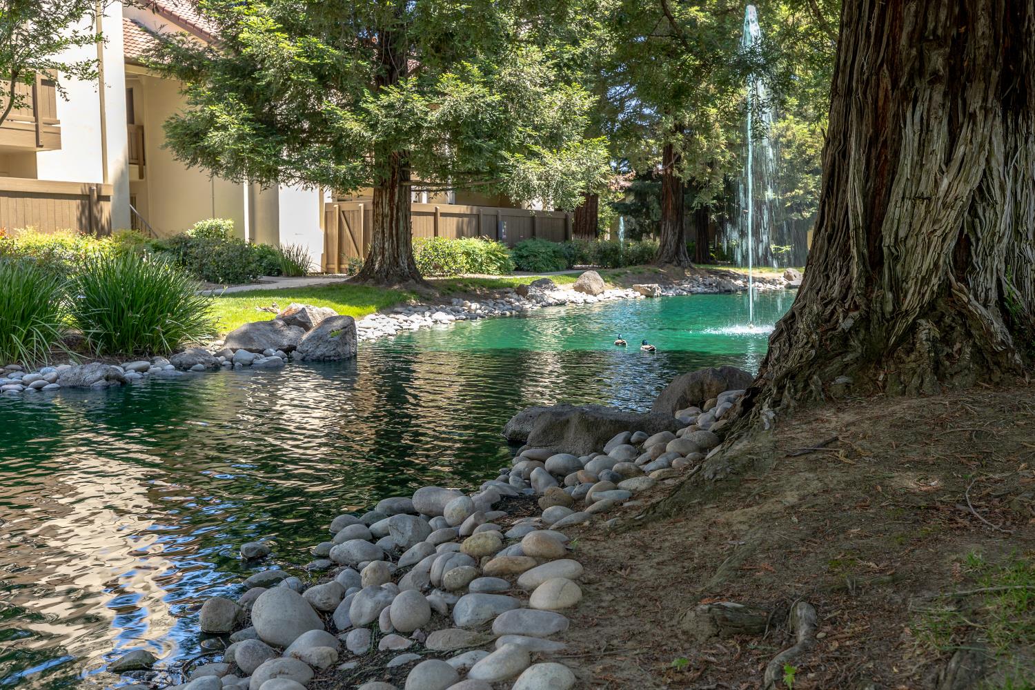 3700 Tully Road, Unit 5 Modesto, CA 95356 - Photo 25 of 38 a view of a large body of water with a house in the background