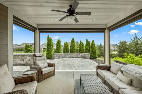 a view of a yard with palm trees