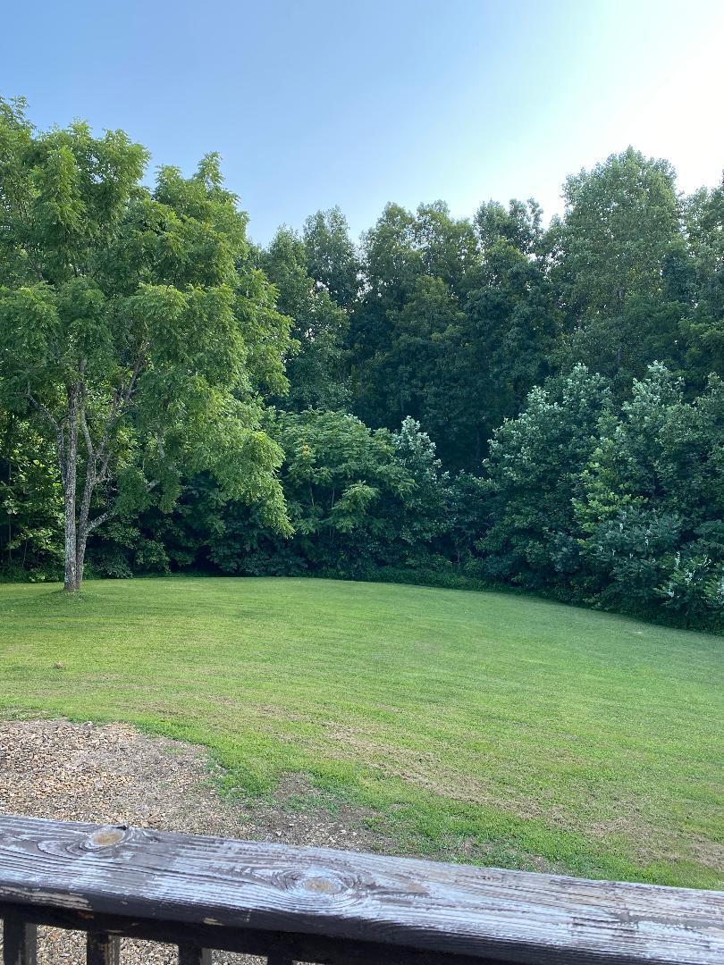 1699 Bryant Rdg Road Liberty, KY 42539 - Photo 25 of 26 Lbackyard