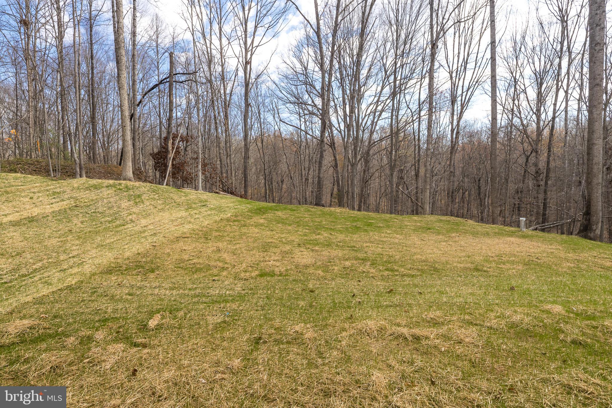 11117 Eggbornsville Road Rixeyville, VA 22737 - Photo 68 of 76 Rear Yard