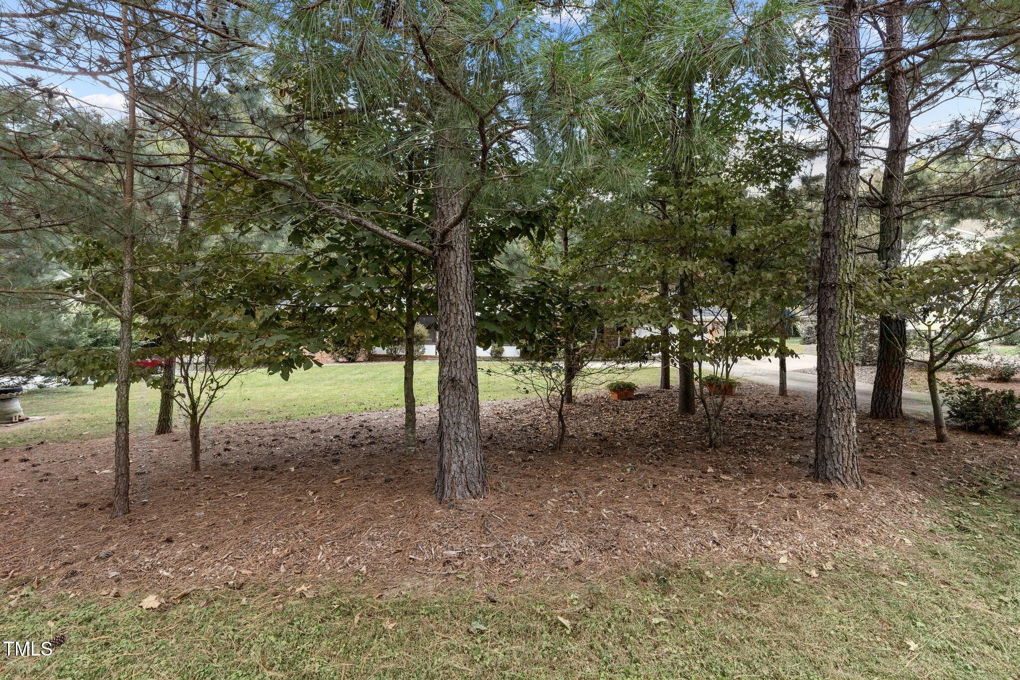 5207 Russell Road Durham, NC 27712 - Photo 36 of 50 33-web-or-mls-8Y3A8503