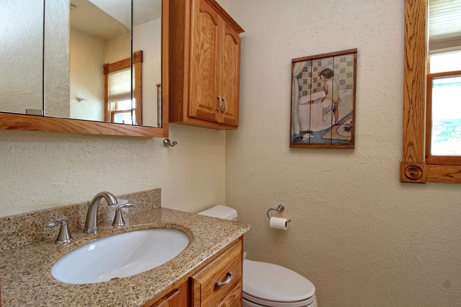 9763 West 1000S Road Bonfield, IL 60913 - Photo 11 of 23 a bathroom with a granite countertop toilet sink and mirror