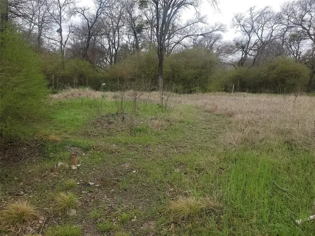 a view of backyard with green space