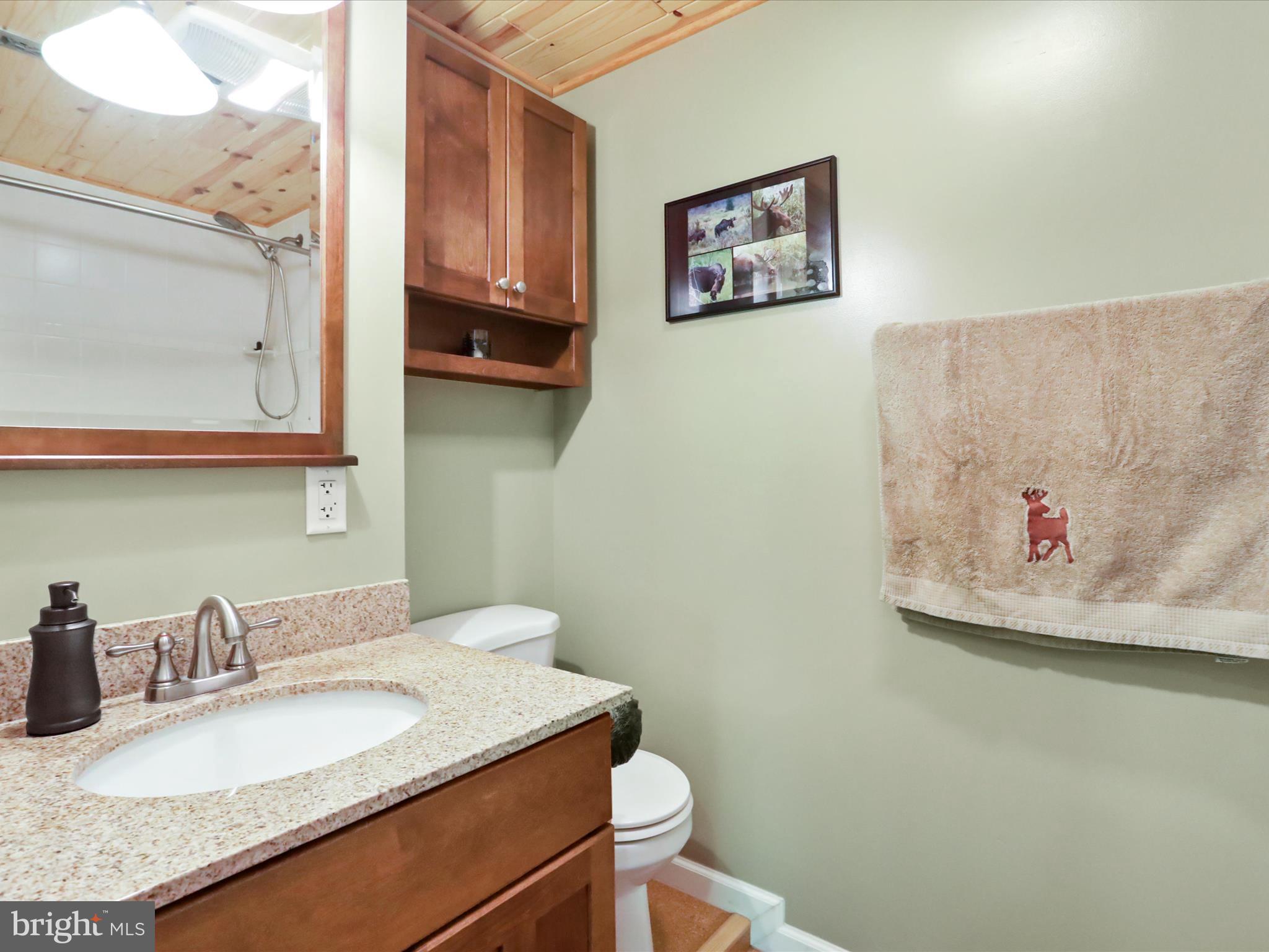 32 Greenfield Road Front Royal, VA 22630 - Photo 17 of 49 a bathroom with a granite countertop sink and a mirror