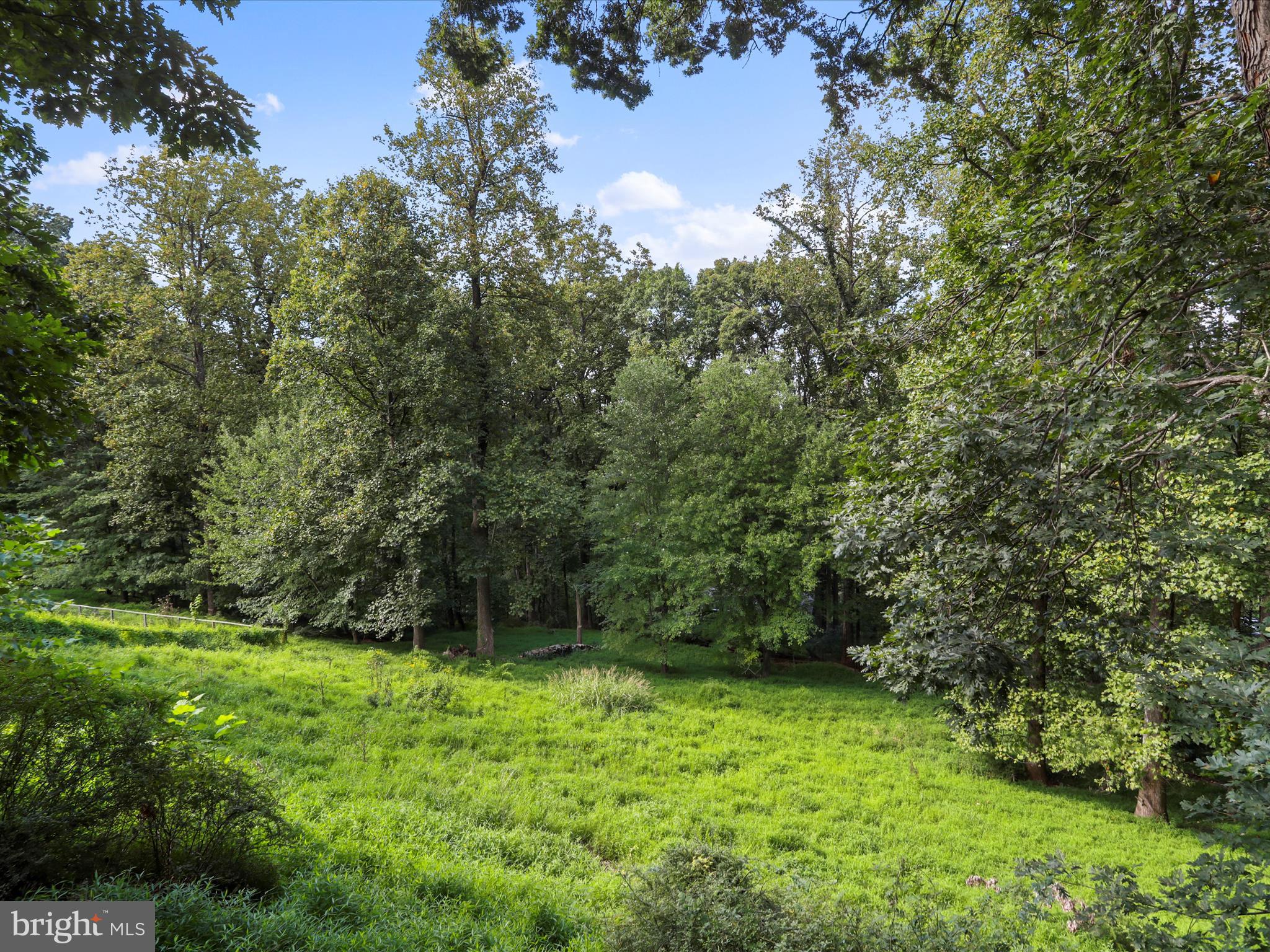 32 Greenfield Road Front Royal, VA 22630 - Photo 25 of 49 a view of a lush green forest