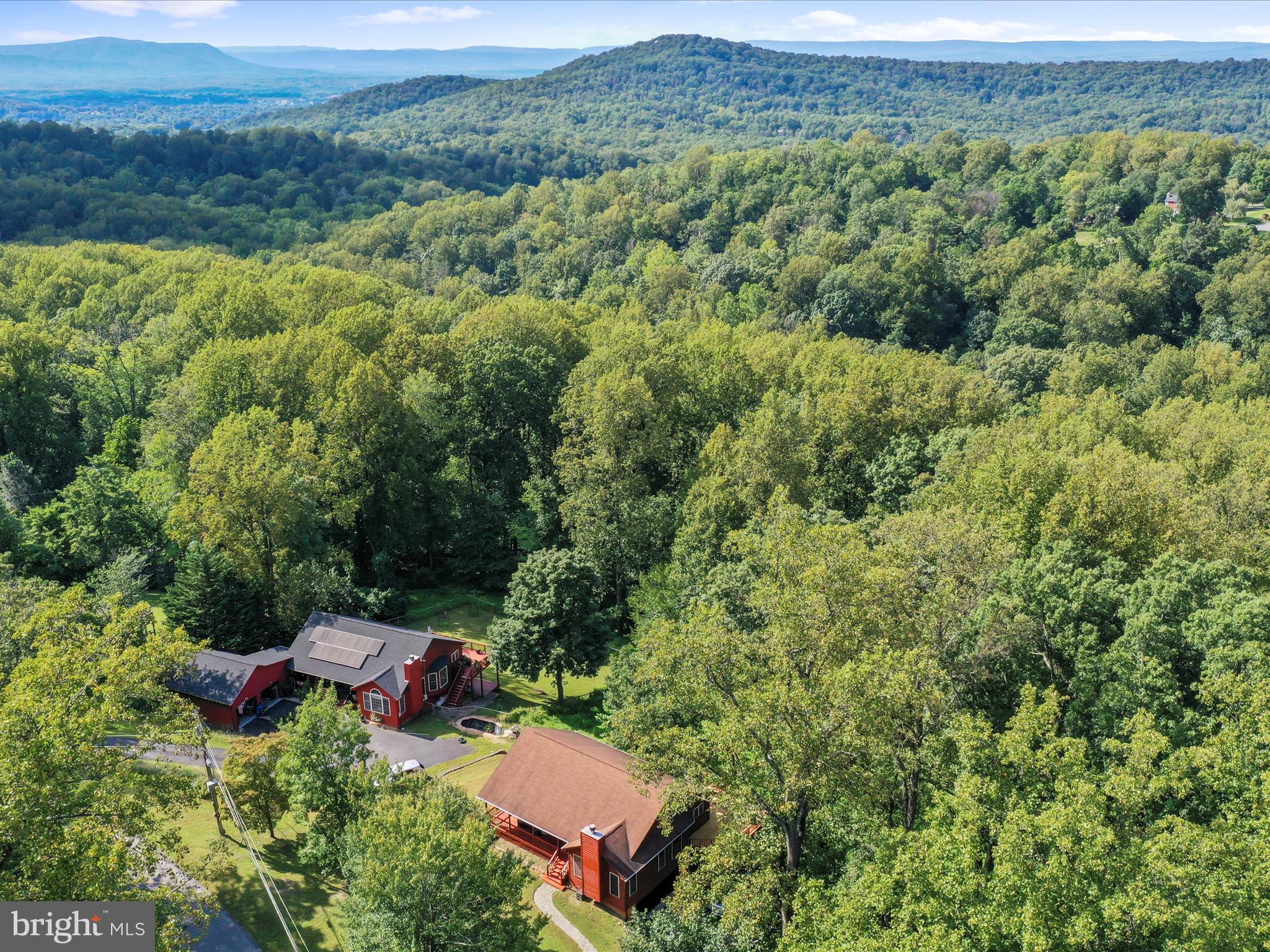 32 Greenfield Road Front Royal, VA 22630 - Photo 40 of 49 a view of a lush green forest with a house
