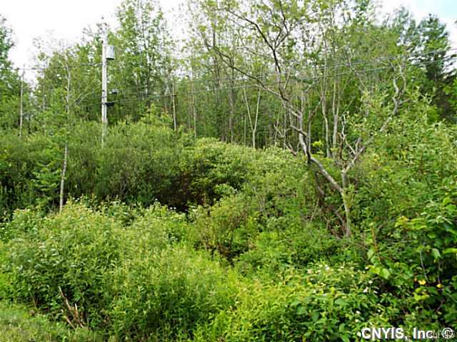 0 Fuller Road Central Square, NY 13036 - Photo 1 of 1 Land/Lot