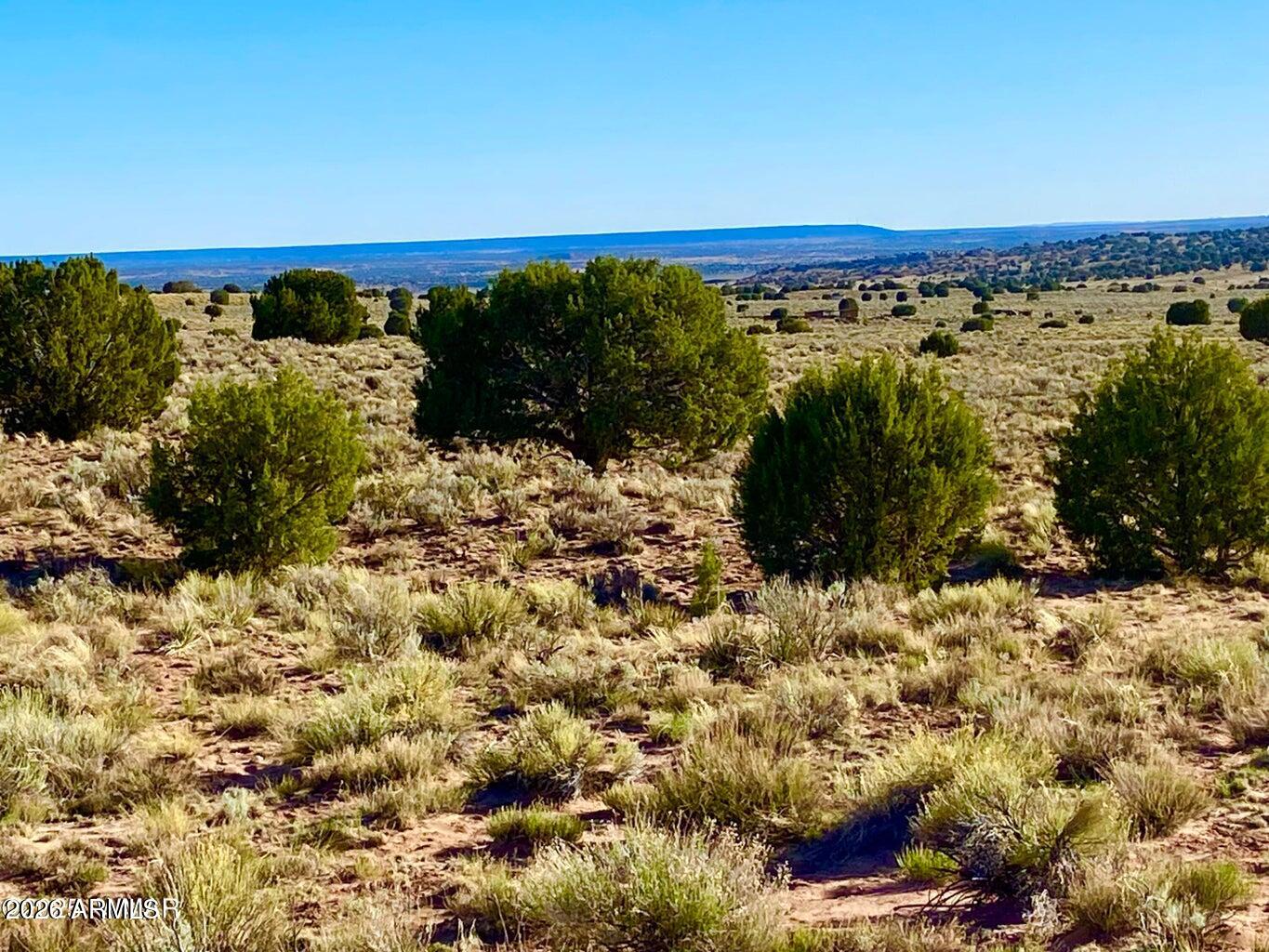 River River Meadows Ranch Concho, AZ 85924 - Photo 9 of 16 20260713061217941532000000-o (1)