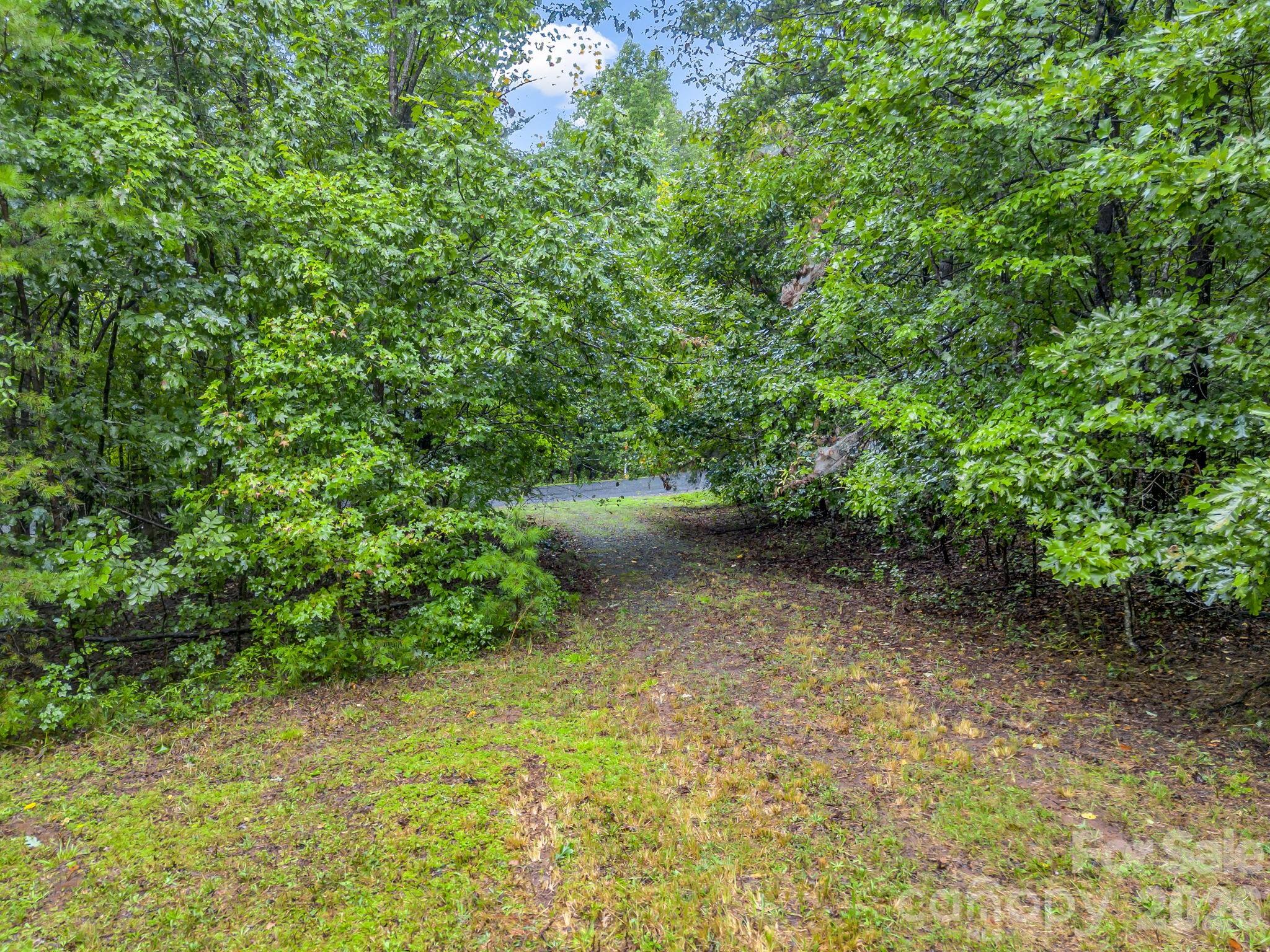 0 Observation Ridge Rutherfordton, NC 28139 - Photo 7 of 25 Gallery Image 7