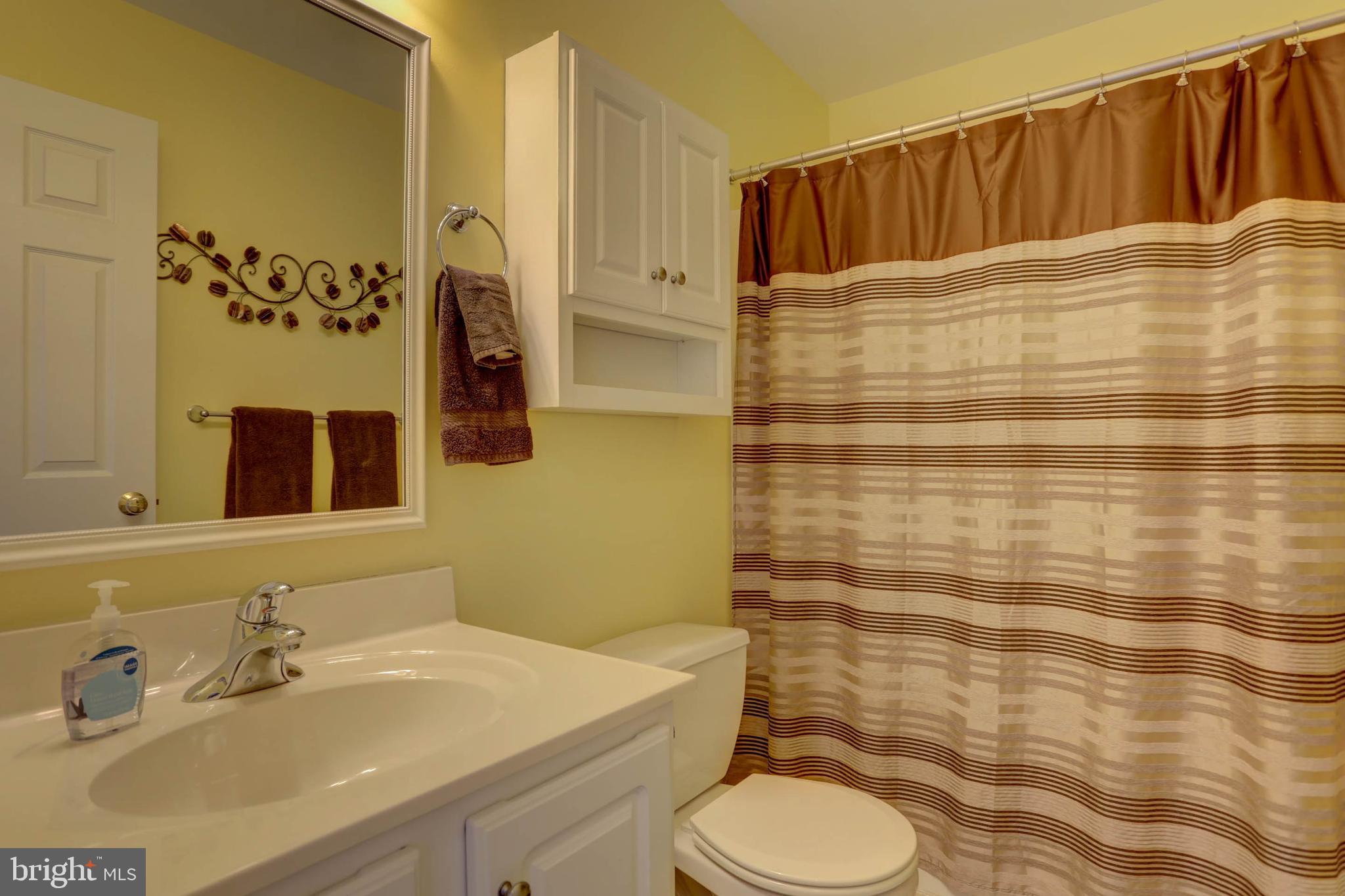 656 Chatham Way Lititz, PA 17543 - Photo 23 of 36 Guest bathroom with shower/tub combination
