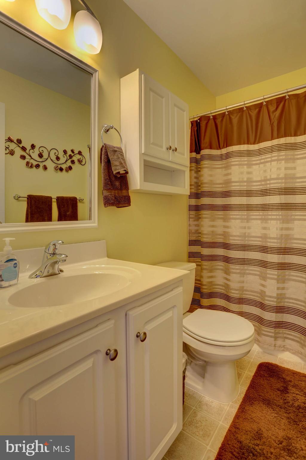 656 Chatham Way Lititz, PA 17543 - Photo 24 of 36 Alternate view of guest bathroom