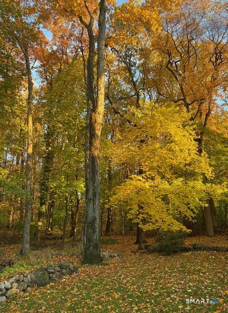 86 Middlesex Road Darien, CT 06820 - Photo 26 of 31