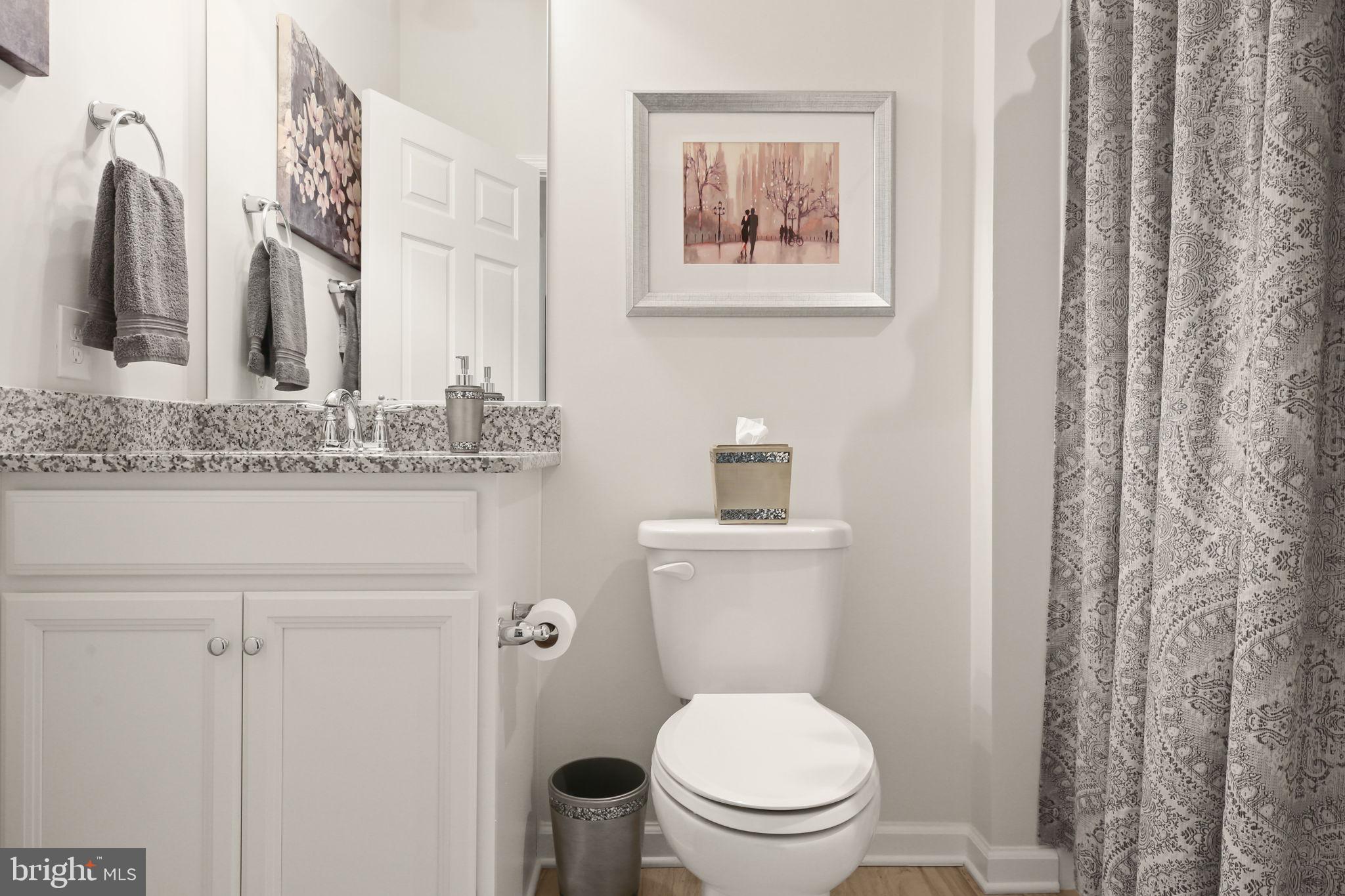 19 Point Bluff Street Fredericksburg, VA 22406 - Photo 27 of 44