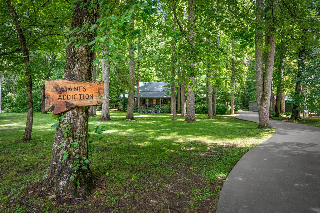 2977 Highway 2 Blue Ridge, GA 30513 - Photo 51 of 87 Gallery Image 51