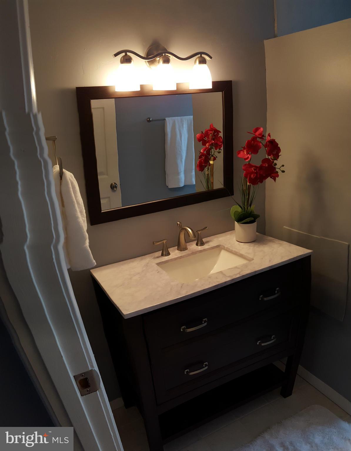 1034 Middleborough Road Baltimore, MD 21221 - Photo 16 of 29 a bathroom with a sink vanity and a mirror