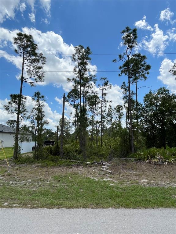 1126 Edelweiss Street East Lehigh Acres, FL 33974 - Photo 1 of 1 Front of lot