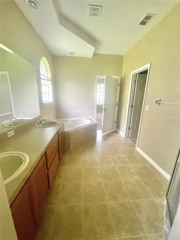 a bathroom with a sink a mirror and a bathtub