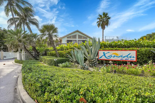 a view of a garden with a palm tree