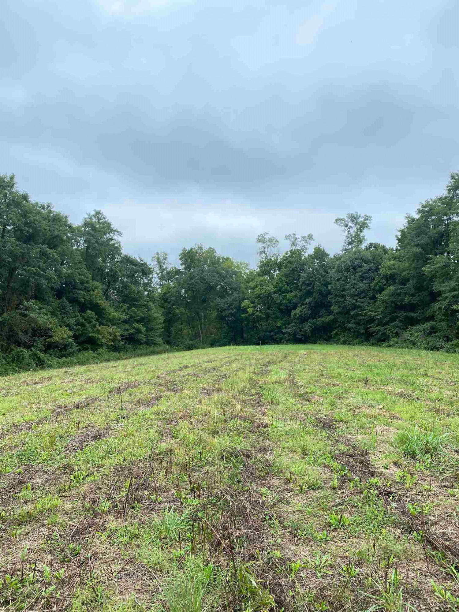 3 Baton Rouge Road Williamstown, KY 41097 - Photo 18 of 25