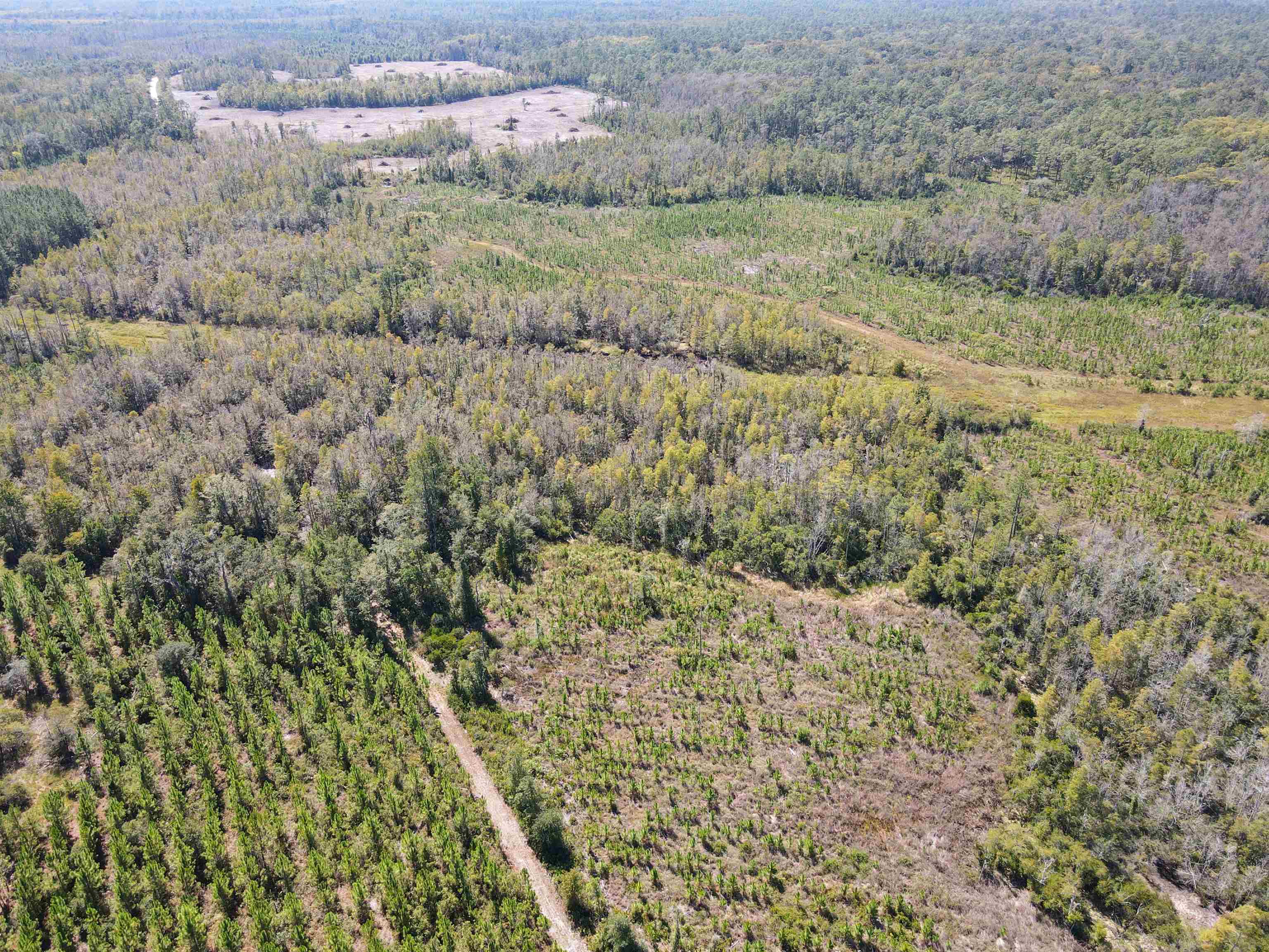 0 Southwest Mount Gilead Road Greenville, FL 32331 - Photo 25 of 33