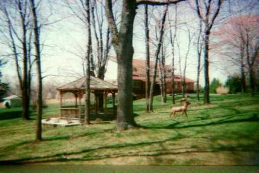 Yard/Garden. 