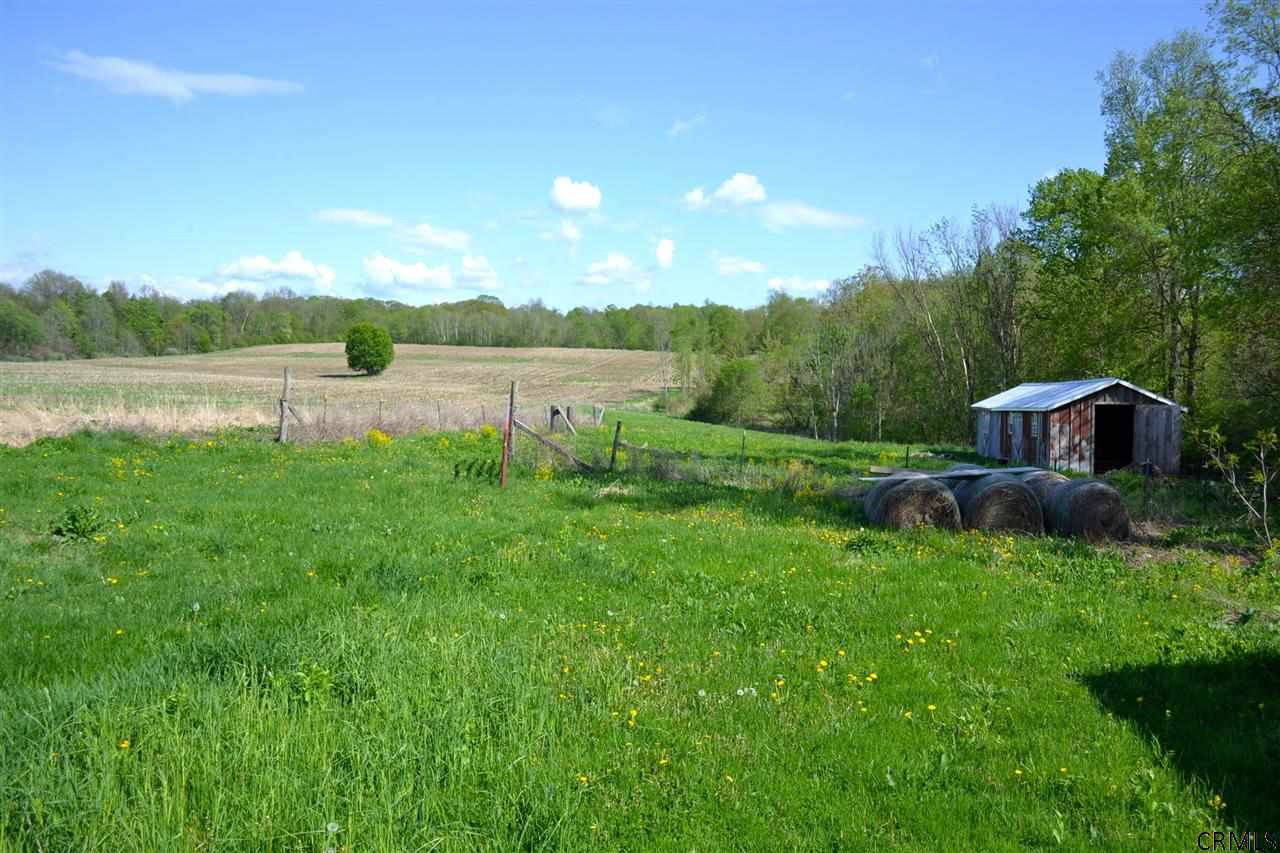 453 Logtown Road Glen, NY 12072 - Photo 18 of 24 Photo 18