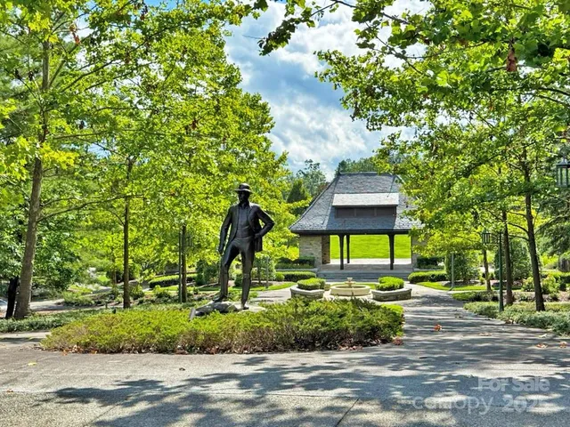 a view of a park with large trees