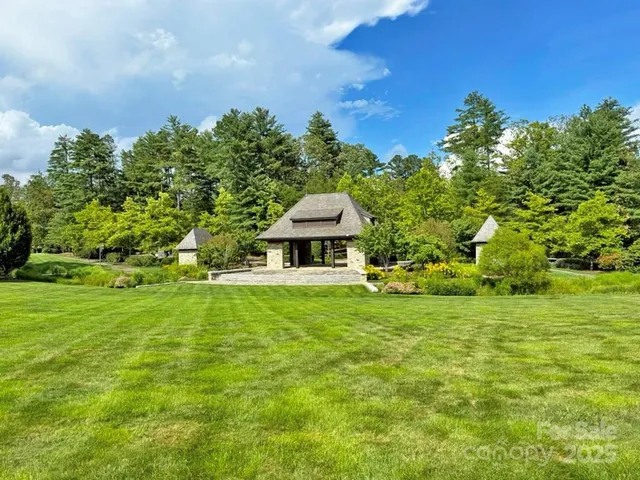 a view of a yard with potted plants