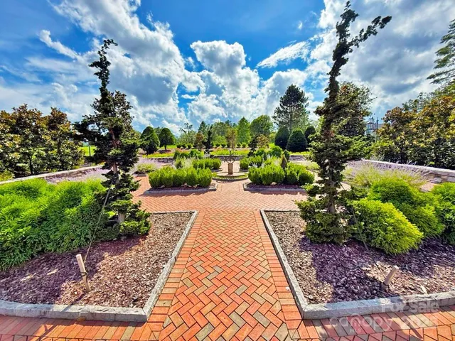 a view of a park with plants and large trees