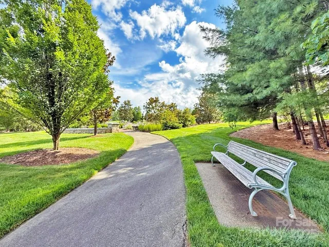 a view of a backyard with plants and large trees