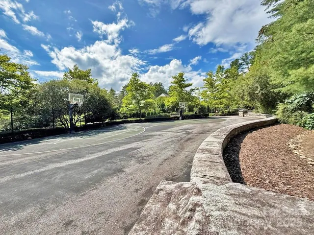 a view of a park with large trees