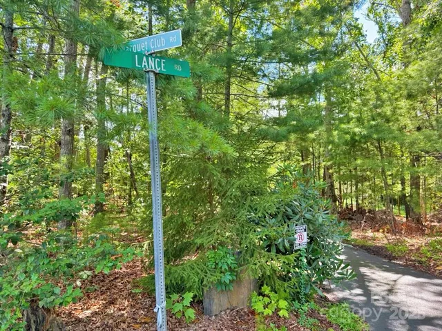 a view of a lounge chairs in the backyard