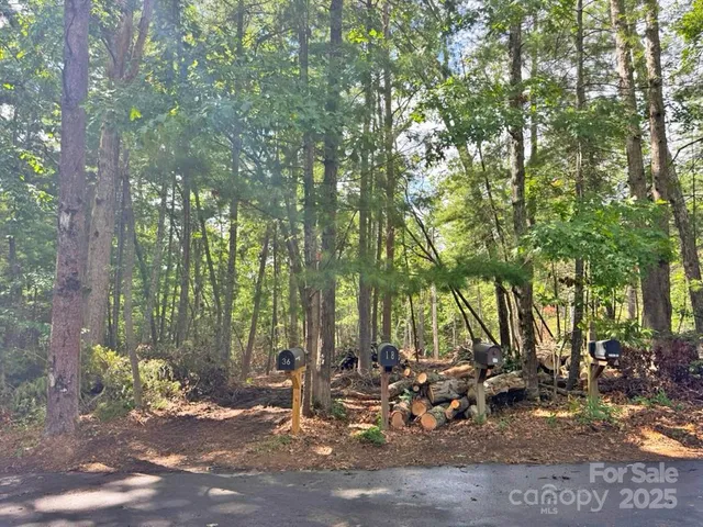 a view of trees and trees in a yard