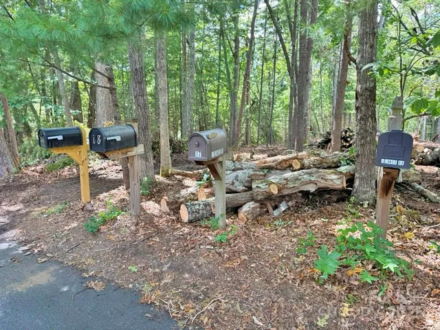 a view of a forest with trees