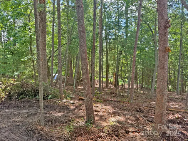 a view of outdoor space and trees