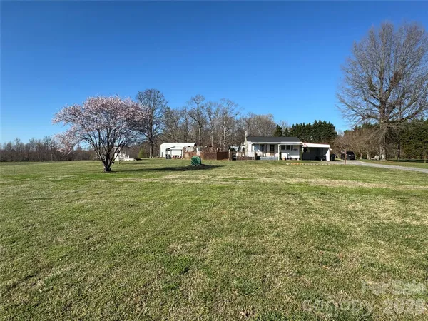 a view of a field with of trees