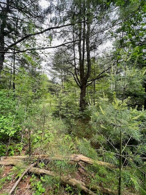 Ray Road Mio, MI 48647 - Photo 29 of 30 Gallery Image 29