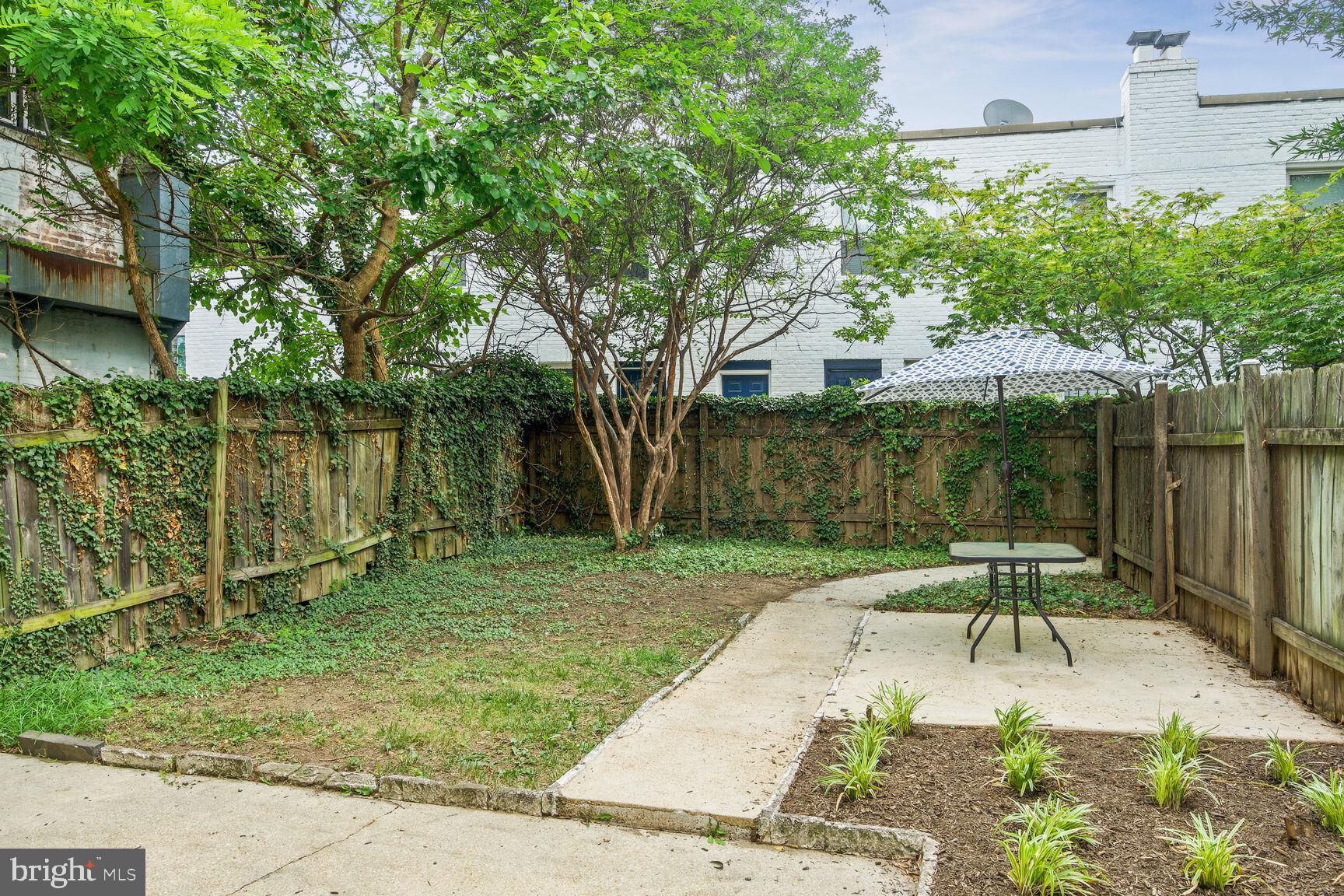 1233 C Street Northeast Washington, DC 20002 - Photo 5 of 21