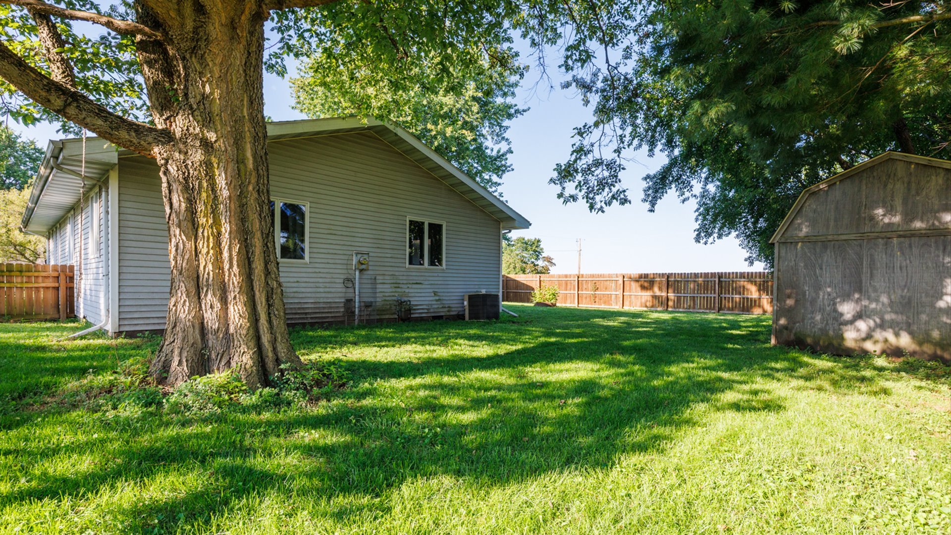 800 West Hamilton Street Atlanta, IL 61723 - Photo 42 of 44 a backyard of a house with plants and large tree