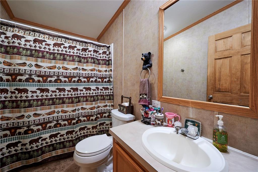 244 Tom Bic Road Rural Valley, PA 16249 - Photo 18 of 33 a bathroom with a sink a toilet and shower curtain