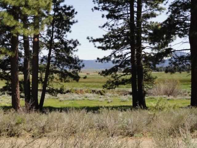 1 Meadow Ranch Road Calpine, CA 96124 - Photo 9 of 9
