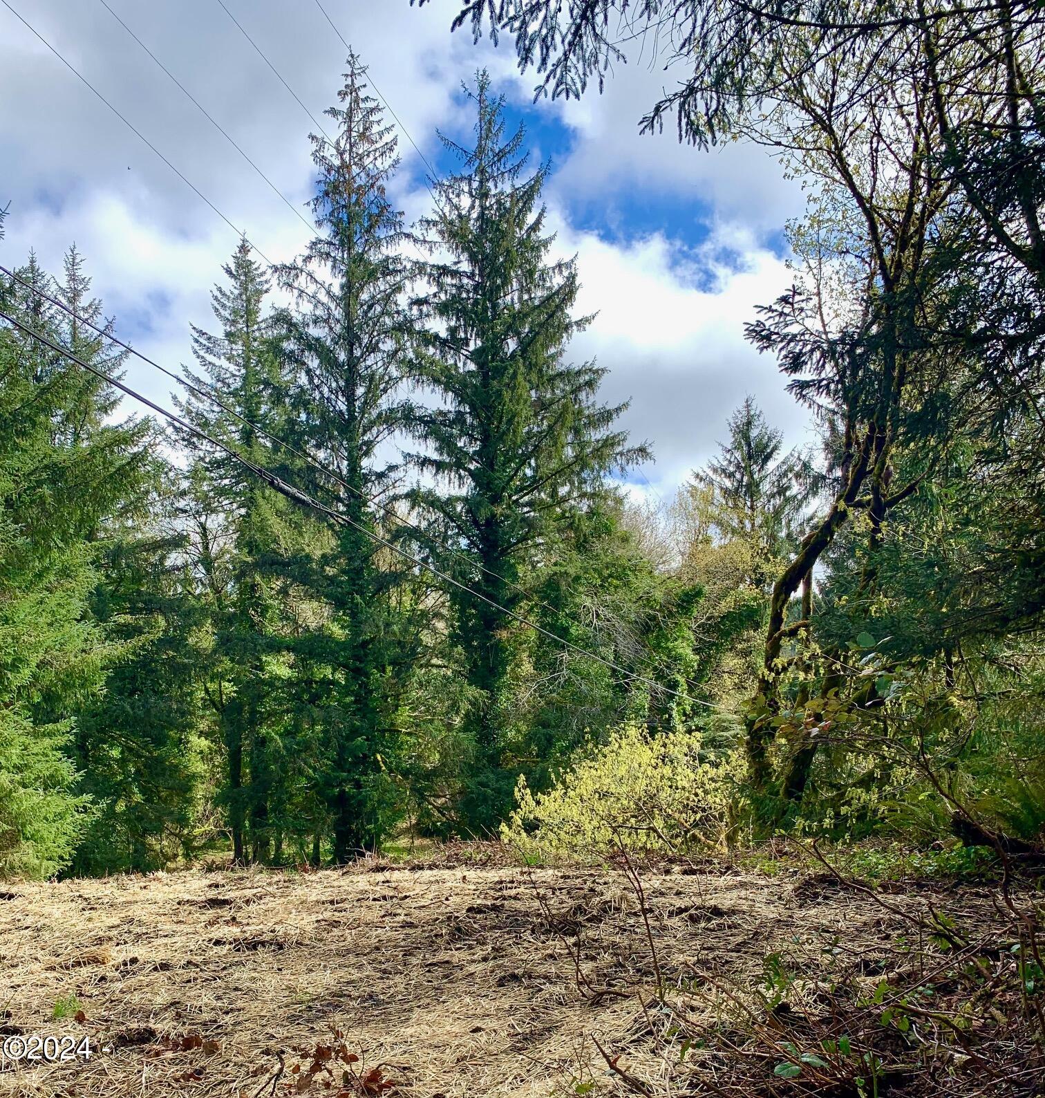 2850 North North Bank Road Otis, OR 97368 - Photo 2 of 8 IMG_2874