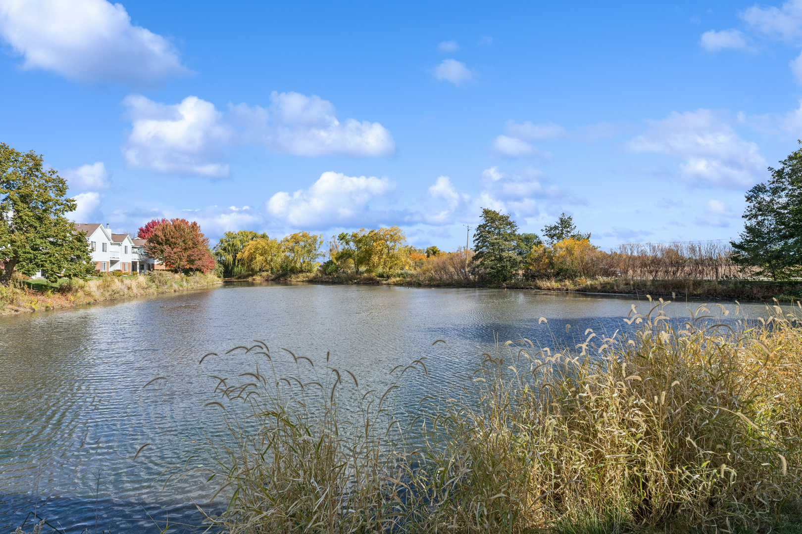 1240 Winfield Court, Unit 3 Roselle, IL 60172 - Photo 20 of 21 a view of lake