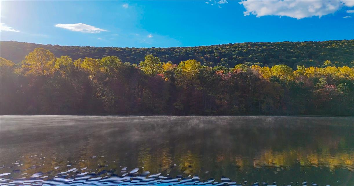 18 White Oak Road Nesquehoning, PA 18240 - Photo 47 of 52 Golden foliage lines the shore, meeting still lake waters under a wide blue sky.