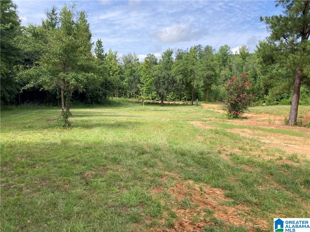 3025 Potato Patch Creek Road Marion, AL 36756 - Photo 16 of 24