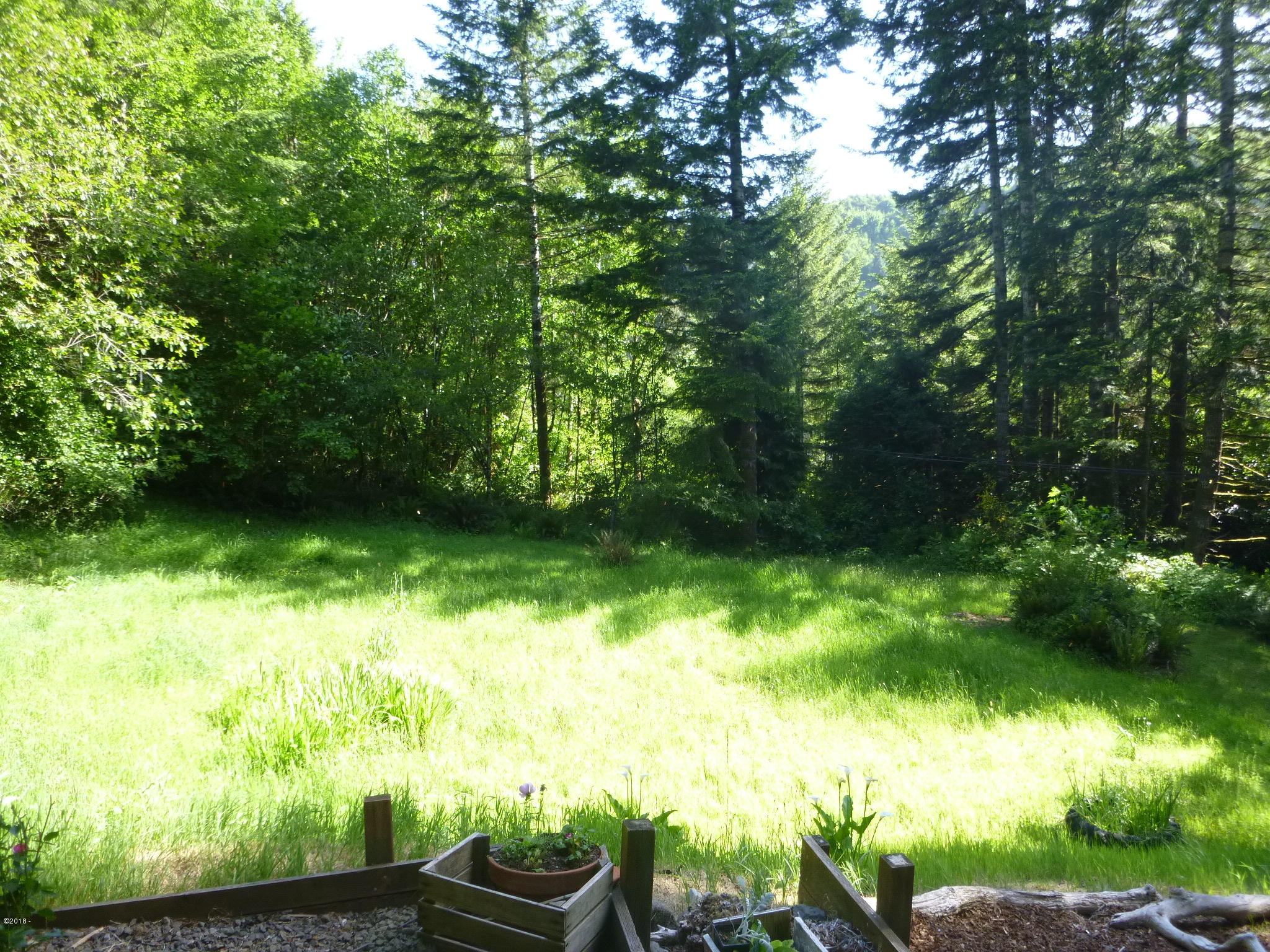 3023 Yasek Loop Toledo, OR 97391 - Photo 6 of 20 Yard area